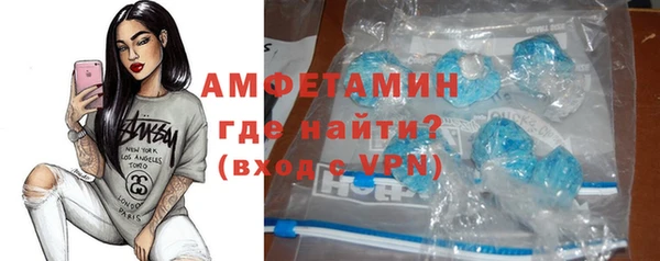 индика Бикин