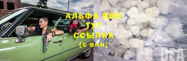 ешки Новодвинск