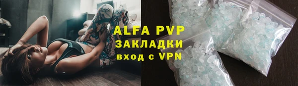 ешки Новодвинск