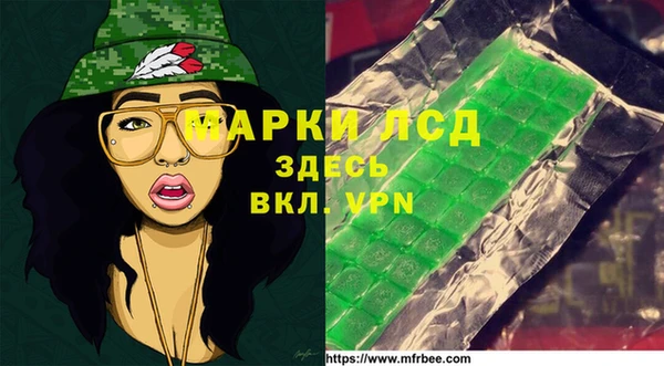 ешки Новодвинск