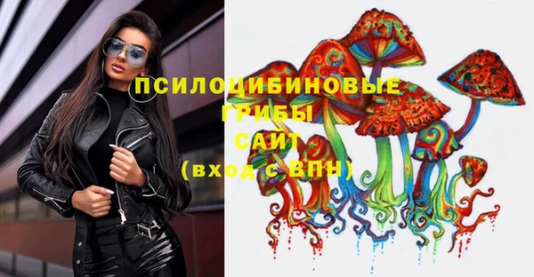 ешки Новодвинск