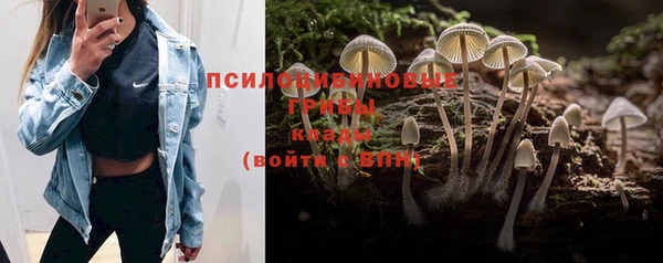 индика Бикин